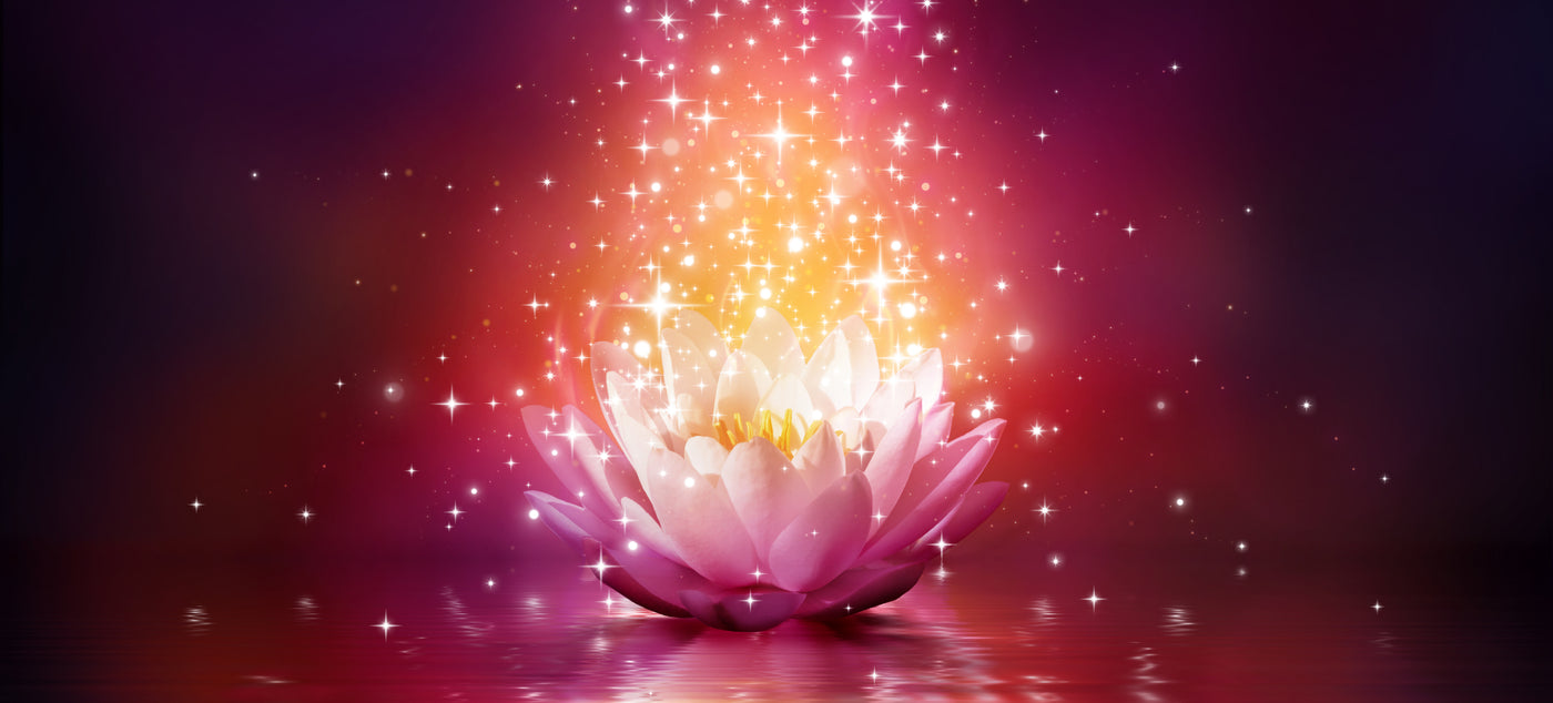 BLOOOMING LIFE - Developing vitality