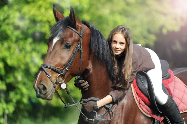 Sternenlotos COMPANION horse