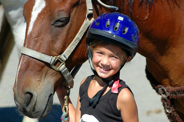 Sternenlotos COMPANION horse